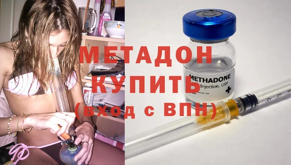 гашик Алексин