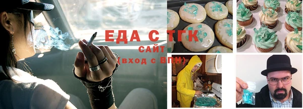 гашик Алексин