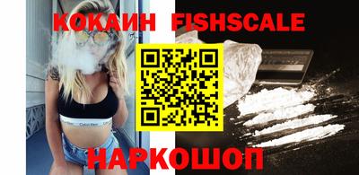 индика Гатчина
