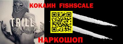 шишки Гай