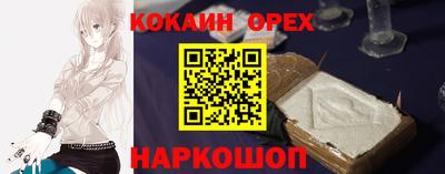 индика Гатчина