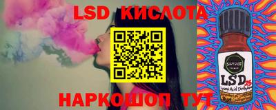 шишки Гай