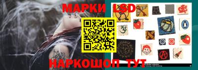индика Гатчина