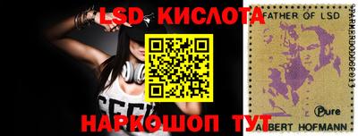 шишки Гай