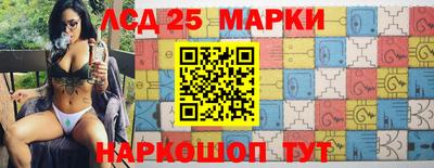 шишки Гай