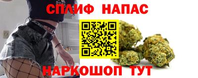 индика Гатчина