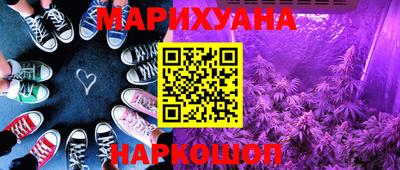 шишки Гай