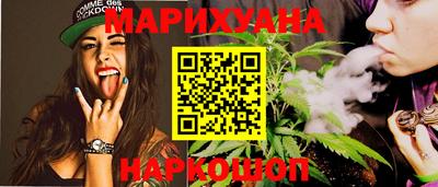 индика Гатчина
