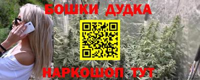 индика Гатчина