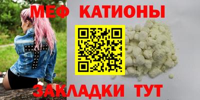 индика Гатчина