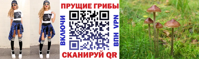 Псилоцибиновые грибы ЛСД купить цена Мурманск
