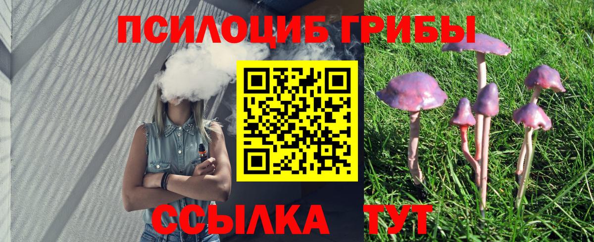 Мурманск  Галлюциногенные грибы Psilocybe  Галлюциногенные грибы прущие грибы  купить   Вход с VPN 