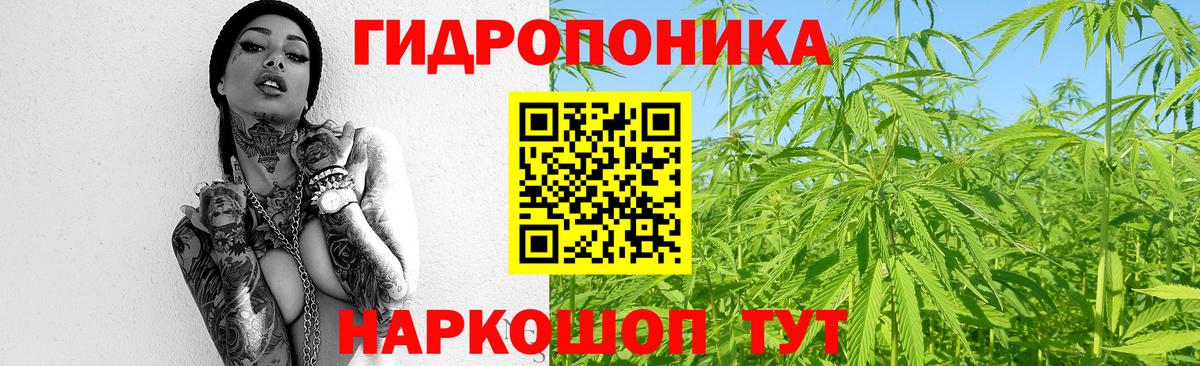 Бошки марихуана тримм  Вход с VPN  Марихуана семена  Мурманск 
